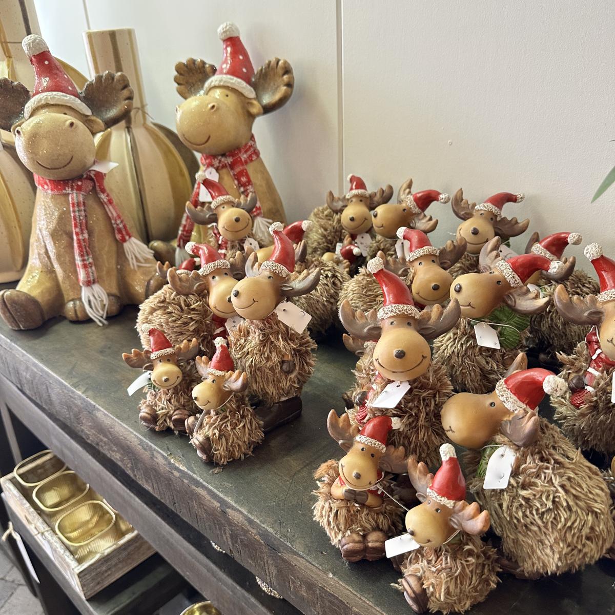 Decoratie Winkel Ann Decor